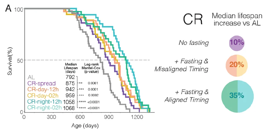 cr if lifespan